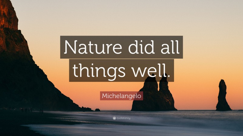 Michelangelo Quote: “Nature did all things well.”