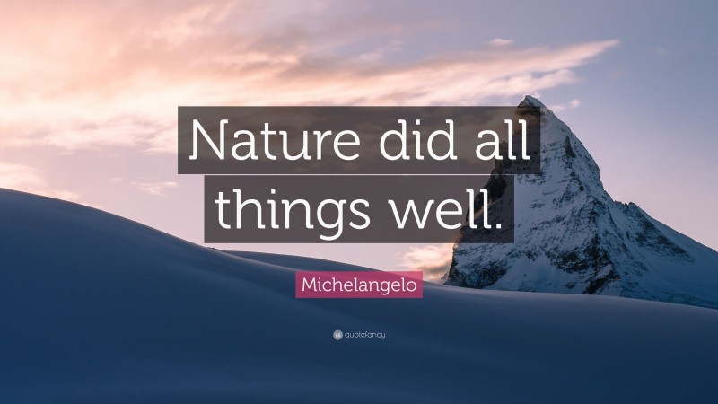 Michelangelo Quote: “Nature did all things well.”