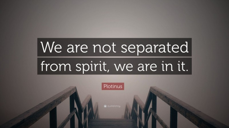 Plotinus Quote: “We are not separated from spirit, we are in it.”