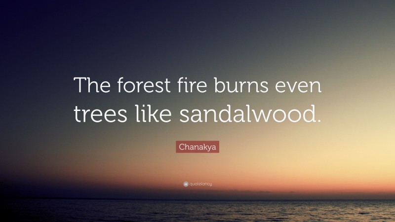 Chanakya Quote: “The forest fire burns even trees like sandalwood.”