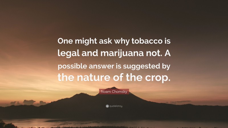 Noam Chomsky Quote: “One might ask why tobacco is legal and marijuana not. A possible answer is suggested by the nature of the crop.”