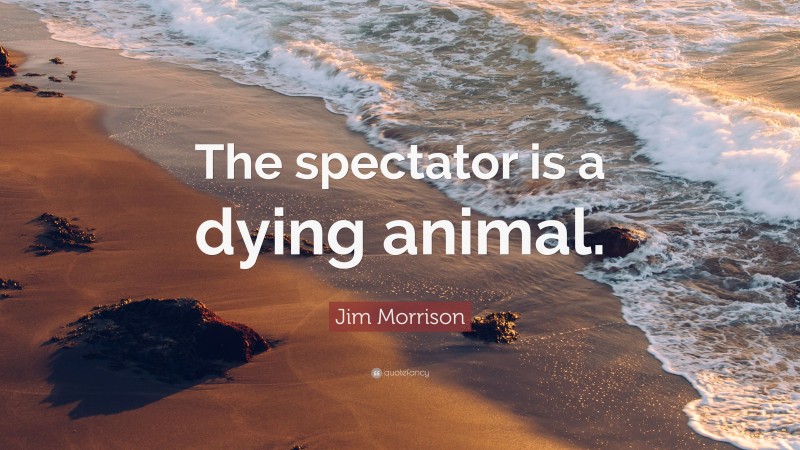 Jim Morrison Quote: “The spectator is a dying animal.”