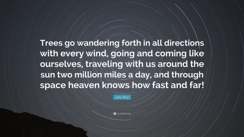 John Muir Quote: “Trees go wandering forth in all directions with every wind, going and coming like ourselves, traveling with us around the sun two million miles a day, and through space heaven knows how fast and far!”