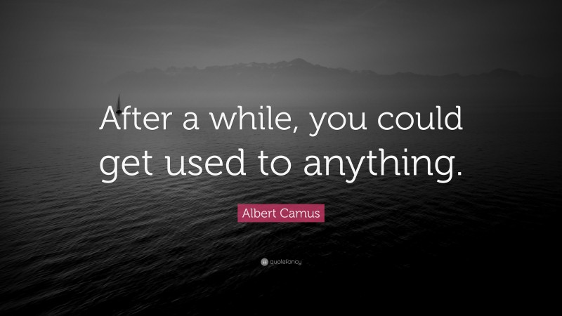 Albert Camus Quote: “After a while, you could get used to anything.”