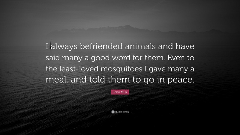 John Muir Quote: “I always befriended animals and have said many a good word for them. Even to the least-loved mosquitoes I gave many a meal, and told them to go in peace.”