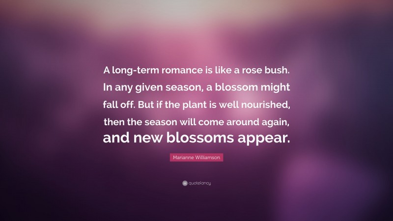 Marianne Williamson Quote: “A long-term romance is like a rose bush. In any given season, a blossom might fall off. But if the plant is well nourished, then the season will come around again, and new blossoms appear.”