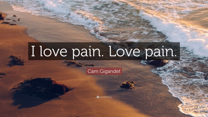 Cam Gigandet Quote: “I love pain. Love pain.”
