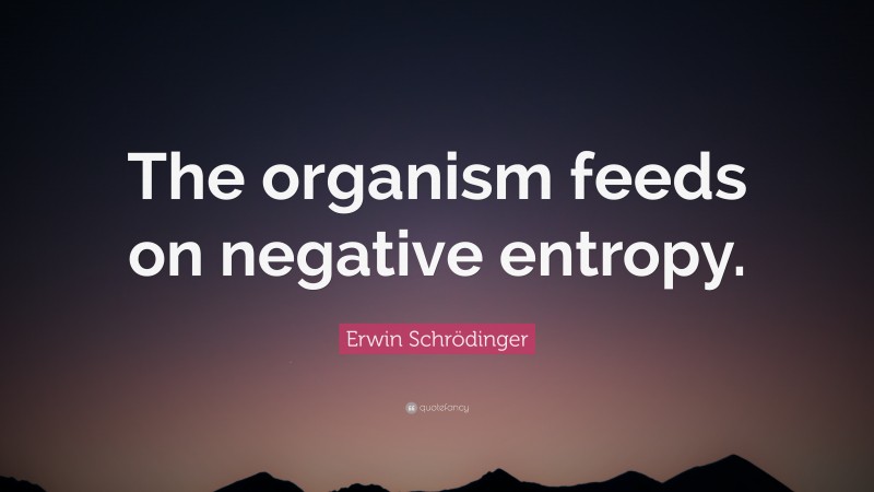Erwin Schrödinger Quote: “The organism feeds on negative entropy.”