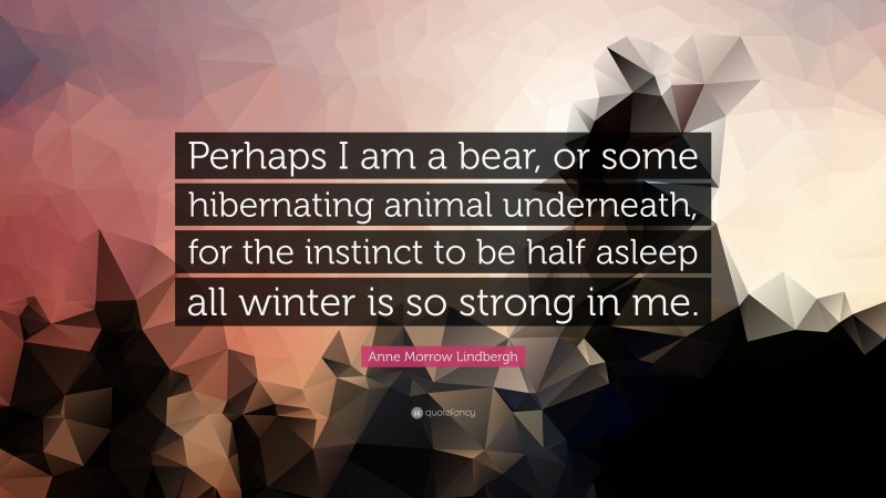 Anne Morrow Lindbergh Quote: “Perhaps I am a bear, or some hibernating animal underneath, for the instinct to be half asleep all winter is so strong in me.”