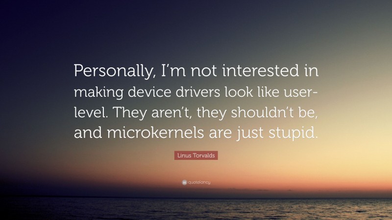 Linus Torvalds Quote: “Personally, I’m not interested in making device drivers look like user-level. They aren’t, they shouldn’t be, and microkernels are just stupid.”