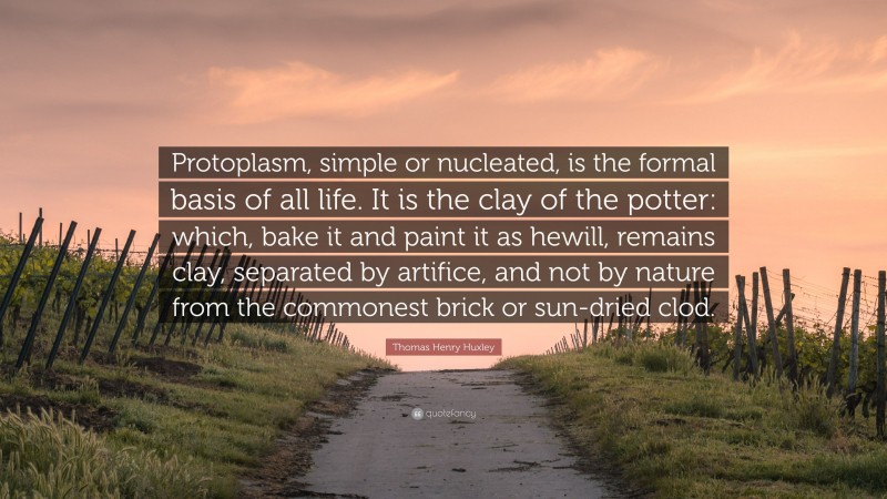 Thomas Henry Huxley Quote: “Protoplasm, simple or nucleated, is the formal basis of all life. It is the clay of the potter: which, bake it and paint it as hewill, remains clay, separated by artifice, and not by nature from the commonest brick or sun-dried clod.”