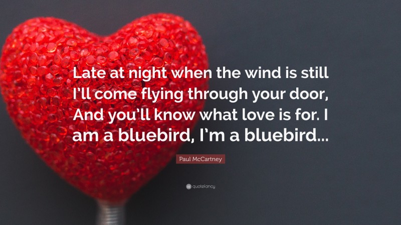 Paul McCartney Quote: “Late at night when the wind is still I’ll come flying through your door, And you’ll know what love is for. I am a bluebird, I’m a bluebird...”