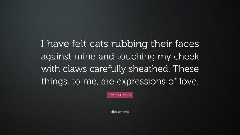 James Herriot Quote: “I have felt cats rubbing their faces against mine and touching my cheek with claws carefully sheathed. These things, to me, are expressions of love.”