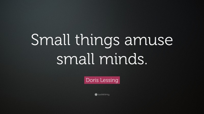 Doris Lessing Quote: “Small things amuse small minds.”