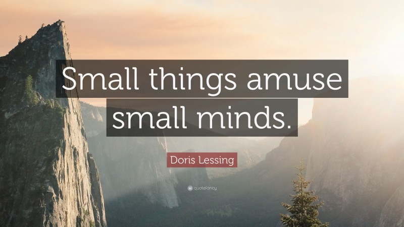 Doris Lessing Quote: “Small things amuse small minds.”