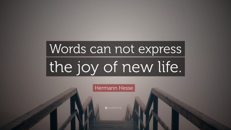 Hermann Hesse Quote: “Words can not express the joy of new life.”