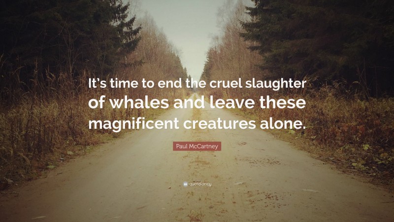 Paul McCartney Quote: “It’s time to end the cruel slaughter of whales and leave these magnificent creatures alone.”