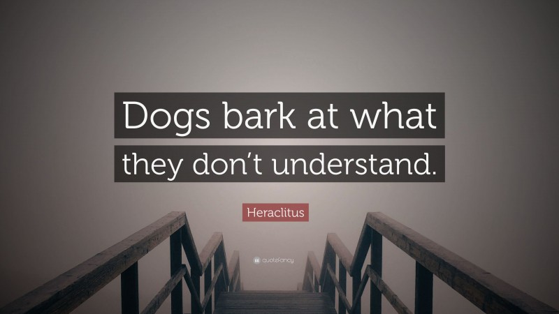 Heraclitus Quote: “Dogs bark at what they don’t understand.”