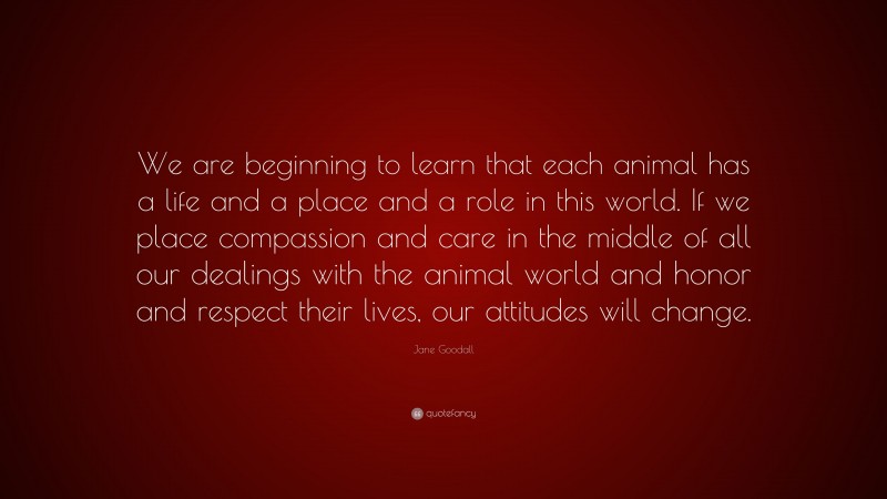 Jane Goodall Quote: “We are beginning to learn that each animal has a life and a place and a role in this world. If we place compassion and care in the middle of all our dealings with the animal world and honor and respect their lives, our attitudes will change.”