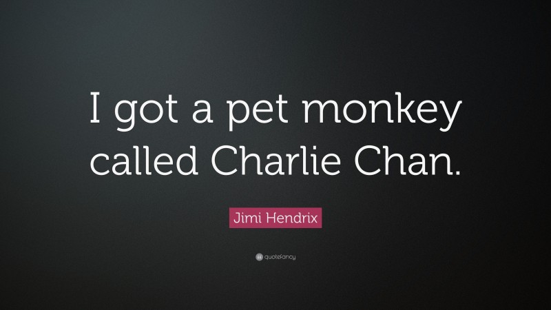 Jimi Hendrix Quote: “I got a pet monkey called Charlie Chan.”