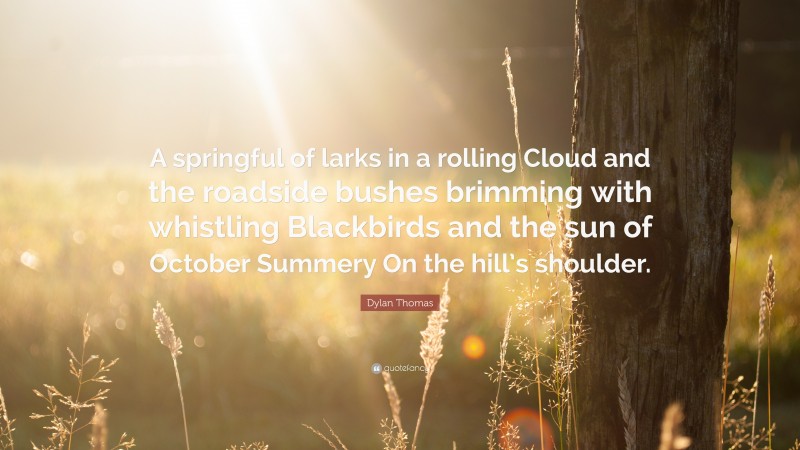 Dylan Thomas Quote: “A springful of larks in a rolling Cloud and the roadside bushes brimming with whistling Blackbirds and the sun of October Summery On the hill’s shoulder.”