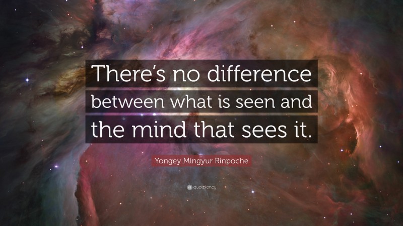 Yongey Mingyur Rinpoche Quote: “There’s no difference between what is seen and the mind that sees it.”