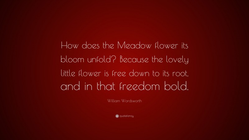 William Wordsworth Quote: “How does the Meadow flower its bloom unfold? Because the lovely little flower is free down to its root, and in that freedom bold.”