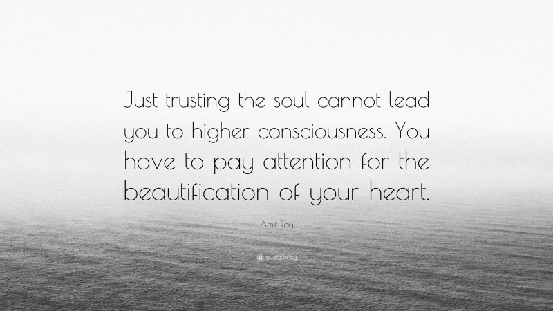 Amit Ray Quote: “Just trusting the soul cannot lead you to higher consciousness. You have to pay attention for the beautification of your heart.”