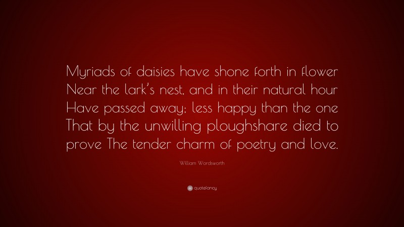 William Wordsworth Quote: “Myriads of daisies have shone forth in flower Near the lark’s nest, and in their natural hour Have passed away; less happy than the one That by the unwilling ploughshare died to prove The tender charm of poetry and love.”
