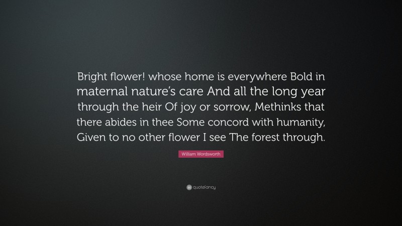 William Wordsworth Quote: “Bright flower! whose home is everywhere Bold in maternal nature’s care And all the long year through the heir Of joy or sorrow, Methinks that there abides in thee Some concord with humanity, Given to no other flower I see The forest through.”