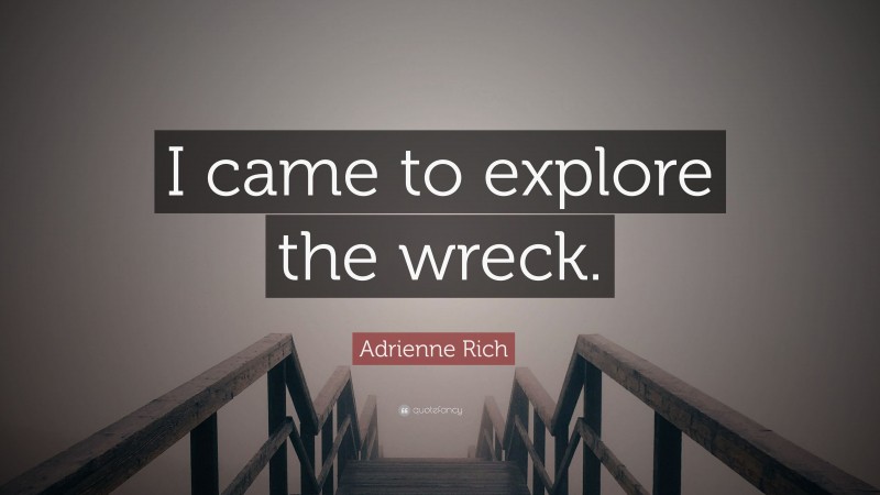 Adrienne Rich Quote: “I came to explore the wreck.”