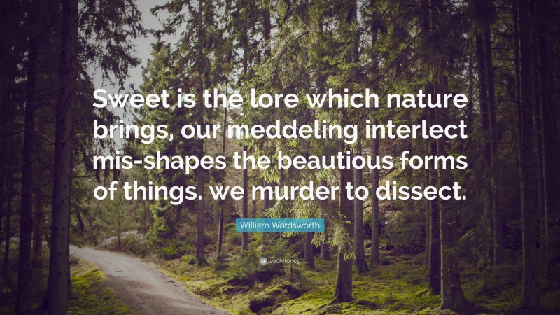 William Wordsworth Quote: “Sweet is the lore which nature brings, our meddeling interlect mis-shapes the beautious forms of things. we murder to dissect.”