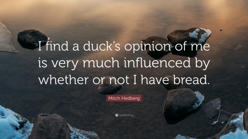 Mitch Hedberg Quote: “I find a duck’s opinion of me is very much influenced by whether or not I have bread.”