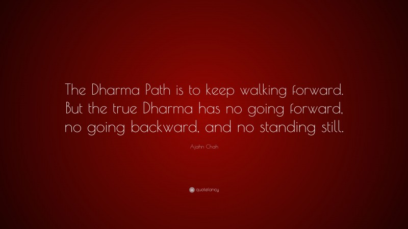 Ajahn Chah Quote: “The Dharma Path is to keep walking forward. But the true Dharma has no going forward, no going backward, and no standing still.”