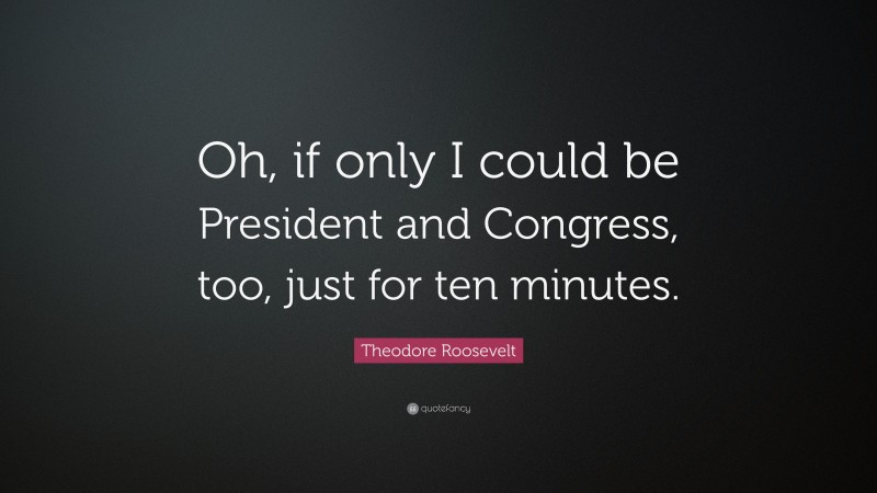 Theodore Roosevelt Quote: “Oh, if only I could be President and Congress, too, just for ten minutes.”