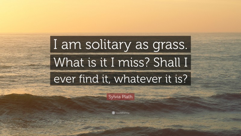 Sylvia Plath Quote: “I am solitary as grass. What is it I miss? Shall I ever find it, whatever it is?”
