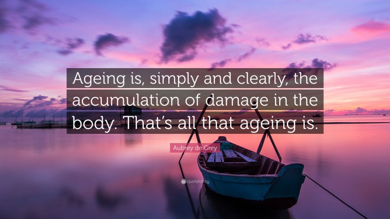 Aubrey de Grey Quote: “Ageing is, simply and clearly, the accumulation of damage in the body. That’s all that ageing is.”