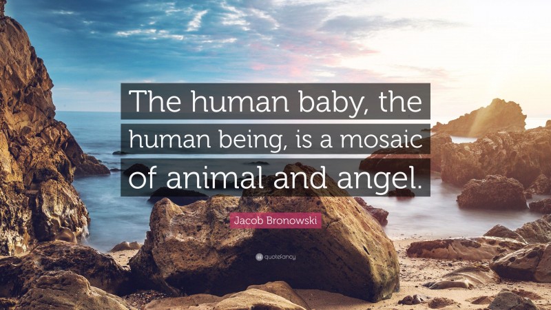 Jacob Bronowski Quote: “The human baby, the human being, is a mosaic of animal and angel.”