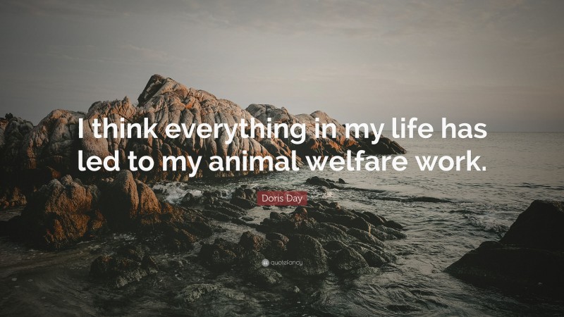 Doris Day Quote: “I think everything in my life has led to my animal welfare work.”
