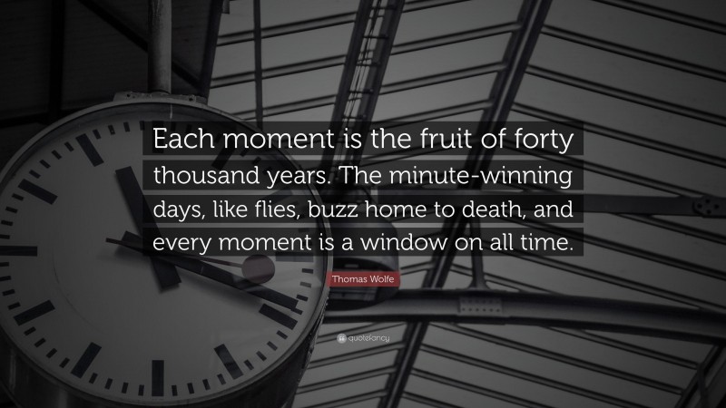 Thomas Wolfe Quote: “Each moment is the fruit of forty thousand years. The minute-winning days, like flies, buzz home to death, and every moment is a window on all time.”