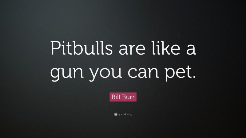 Bill Burr Quote: “Pitbulls are like a gun you can pet.”