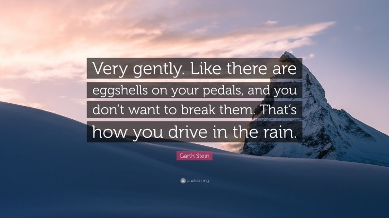 Garth Stein Quote: “Very gently. Like there are eggshells on your pedals, and you don’t want to break them. That’s how you drive in the rain.”