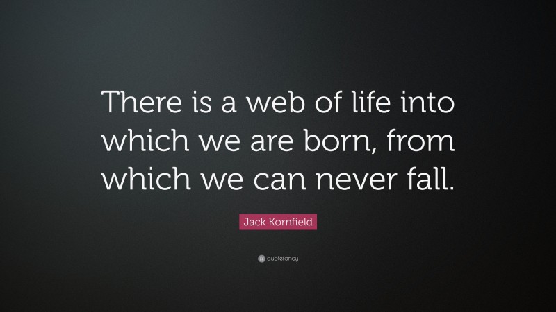 Jack Kornfield Quote: “There is a web of life into which we are born, from which we can never fall.”
