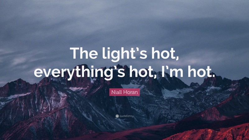 Niall Horan Quote: “The light’s hot, everything’s hot, I’m hot.”