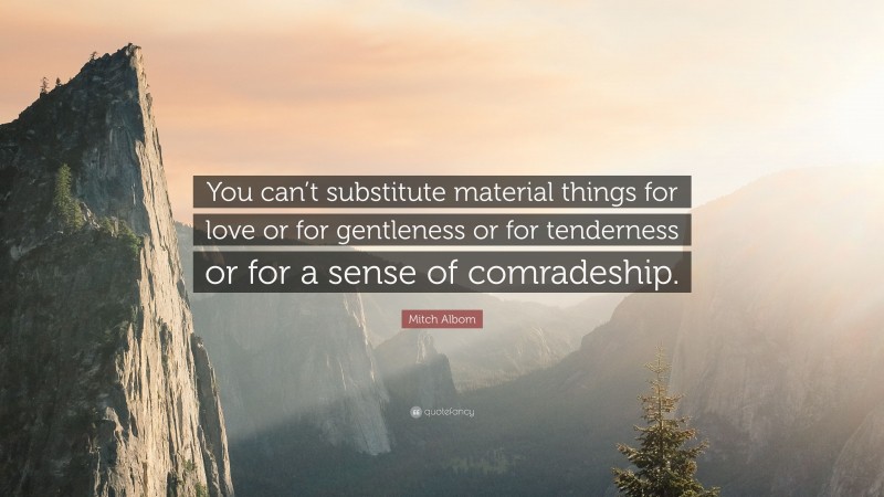 Mitch Albom Quote: “You can’t substitute material things for love or for gentleness or for tenderness or for a sense of comradeship.”
