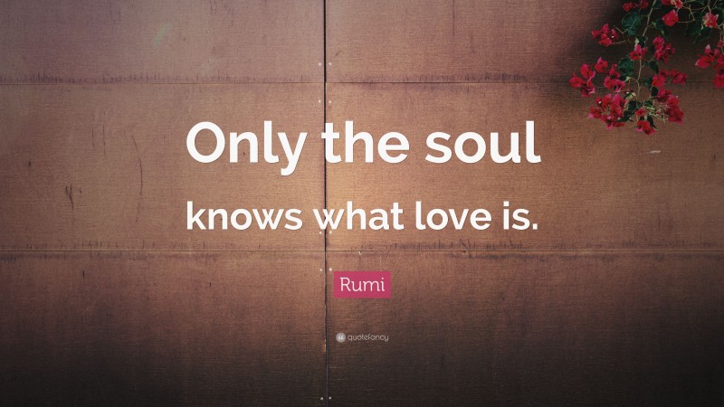 Rumi Quote: “Only the soul knows what love is.”