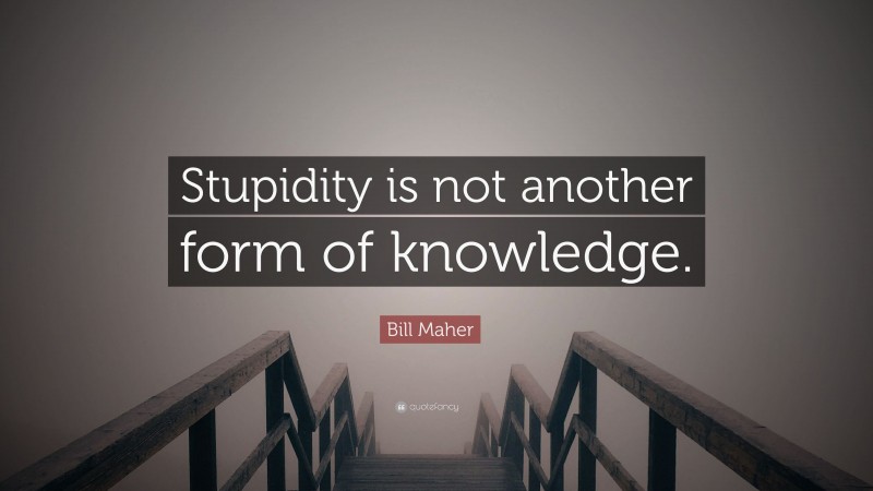 Bill Maher Quote: “Stupidity is not another form of knowledge.”