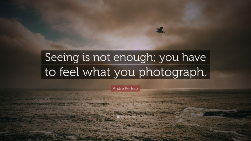 Andre Kertesz Quote: “Seeing is not enough; you have to feel what you photograph.”
