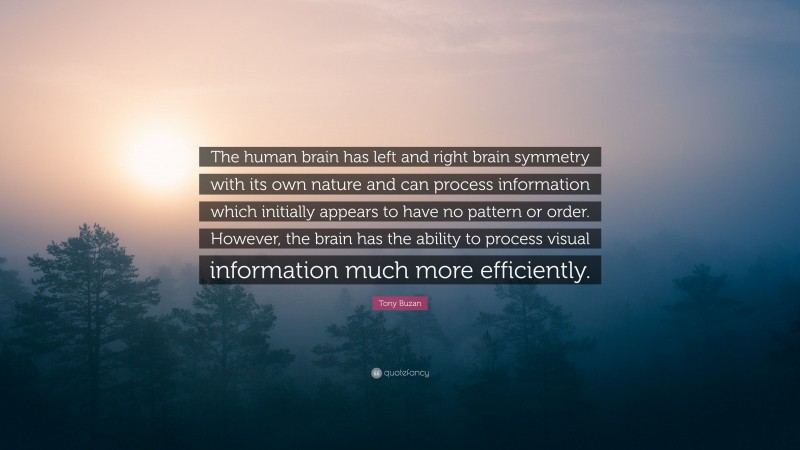 Tony Buzan Quote: “The human brain has left and right brain symmetry with its own nature and can process information which initially appears to have no pattern or order. However, the brain has the ability to process visual information much more efficiently.”