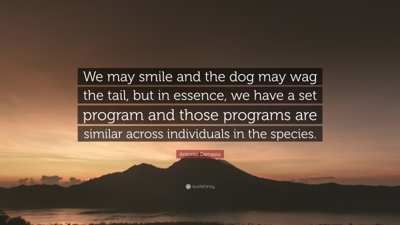 Antonio Damasio Quote: “We may smile and the dog may wag the tail, but in essence, we have a set program and those programs are similar across individuals in the species.”